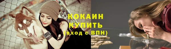 дмт Дмитров