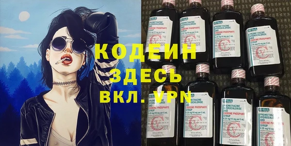 дмт Дмитров