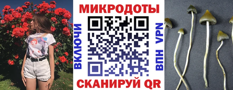 Псилоцибиновые грибы мухоморы  Купить  Ачхой-Мартан 